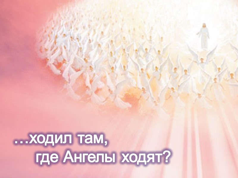 …ходил там,      где Ангелы ходят?